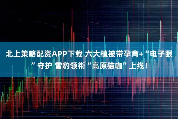 北上策略配资APP下载 六大植被带孕育+“电子眼”守护 雪豹领衔“高原猫咖”上线！