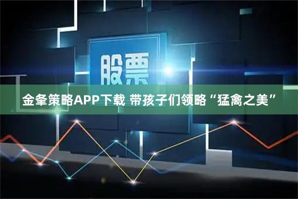 金夆策略APP下载 带孩子们领略“猛禽之美”