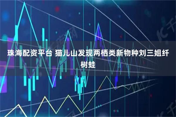 珠海配资平台 猫儿山发现两栖类新物种刘三姐纤树蛙