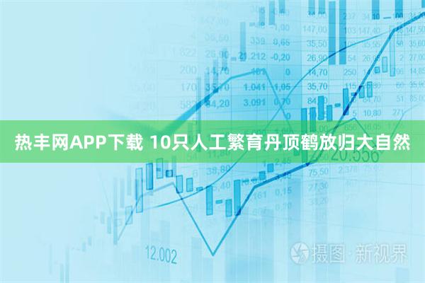 热丰网APP下载 10只人工繁育丹顶鹤放归大自然