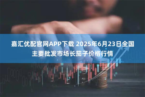 嘉汇优配官网APP下载 2025年6月23日全国主要批发市场长茄子价格行情