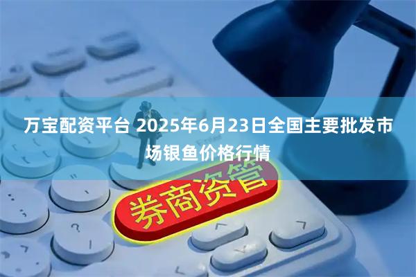 万宝配资平台 2025年6月23日全国主要批发市场银鱼价格行情