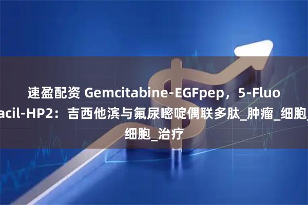 速盈配资 Gemcitabine-EGFpep，5-Fluorouracil-HP2：吉西他滨与氟尿嘧啶偶联多肽_肿瘤_细胞_治疗